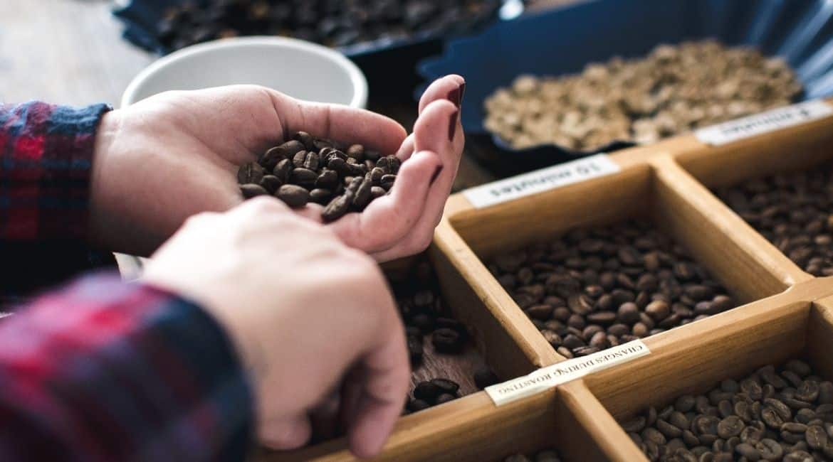 How Many Types Of Coffee Beans?