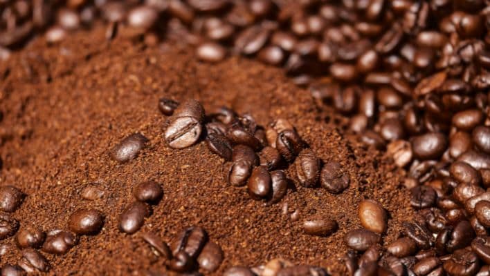 Are Roaches in Your Ground Coffee